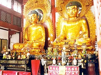 The golden statues of the Sakyamuni